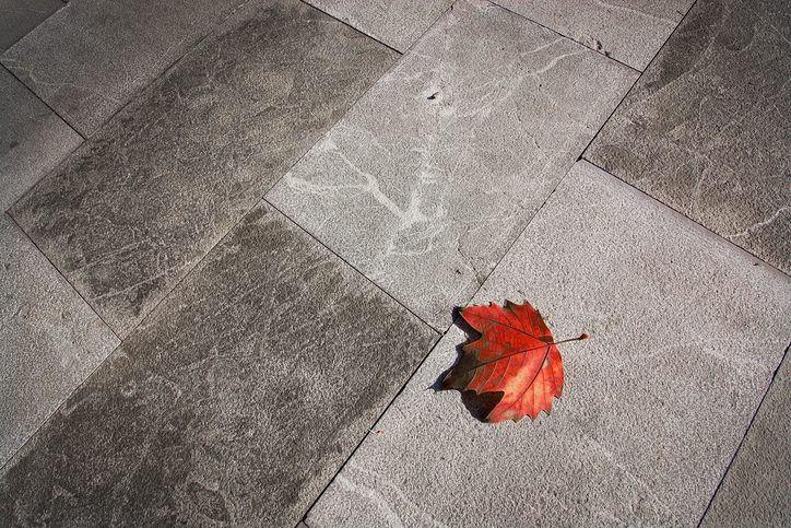 Pressure Pros of the Carolinas | Rock Hill, SC | high angle view of maple leaf on footpath