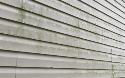 How to Remove Mildew From Your Vinyl Siding