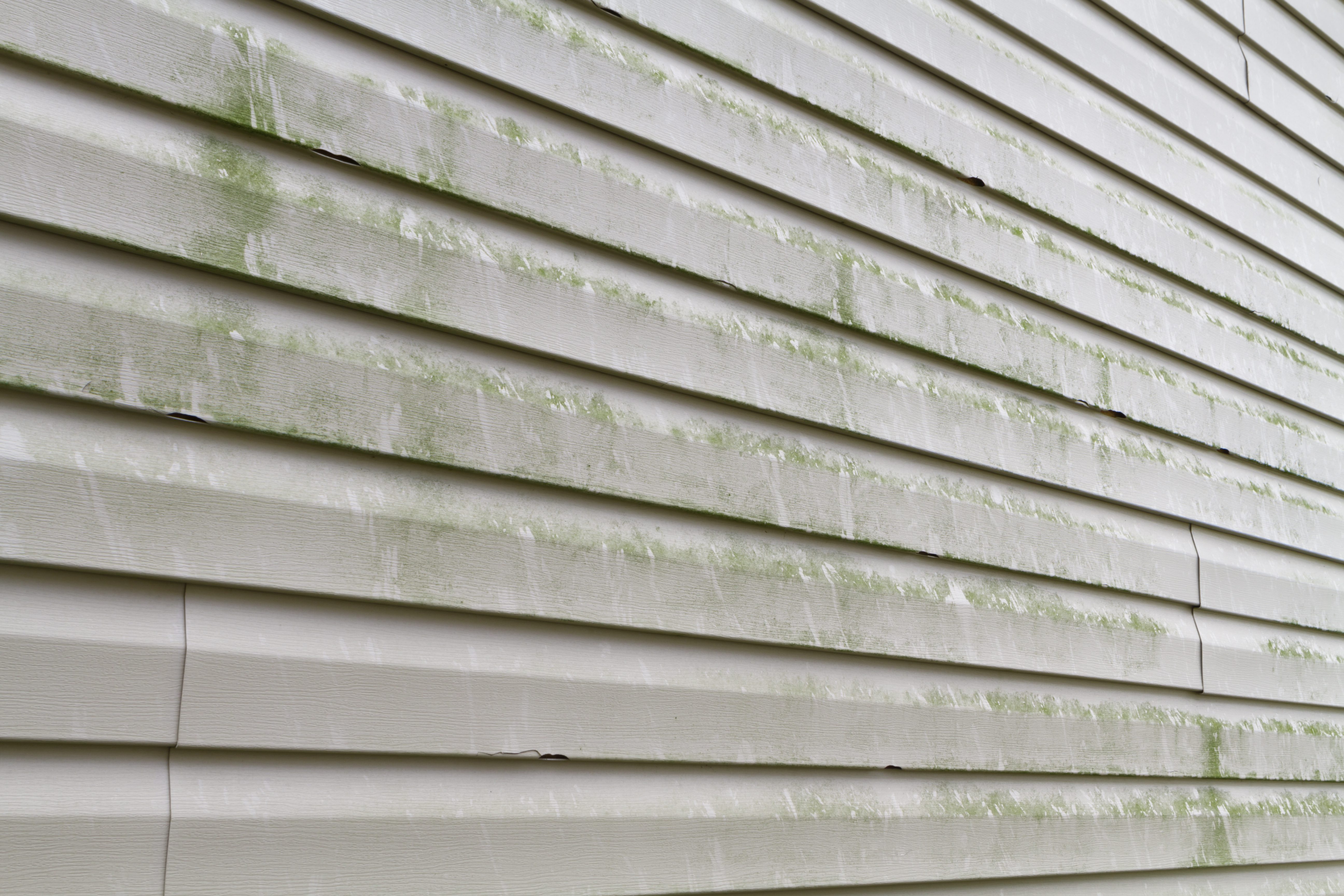 Pressure Pros of the Carolinas | Rock Hill, SC | mildew on siding